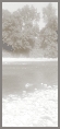 Image:product