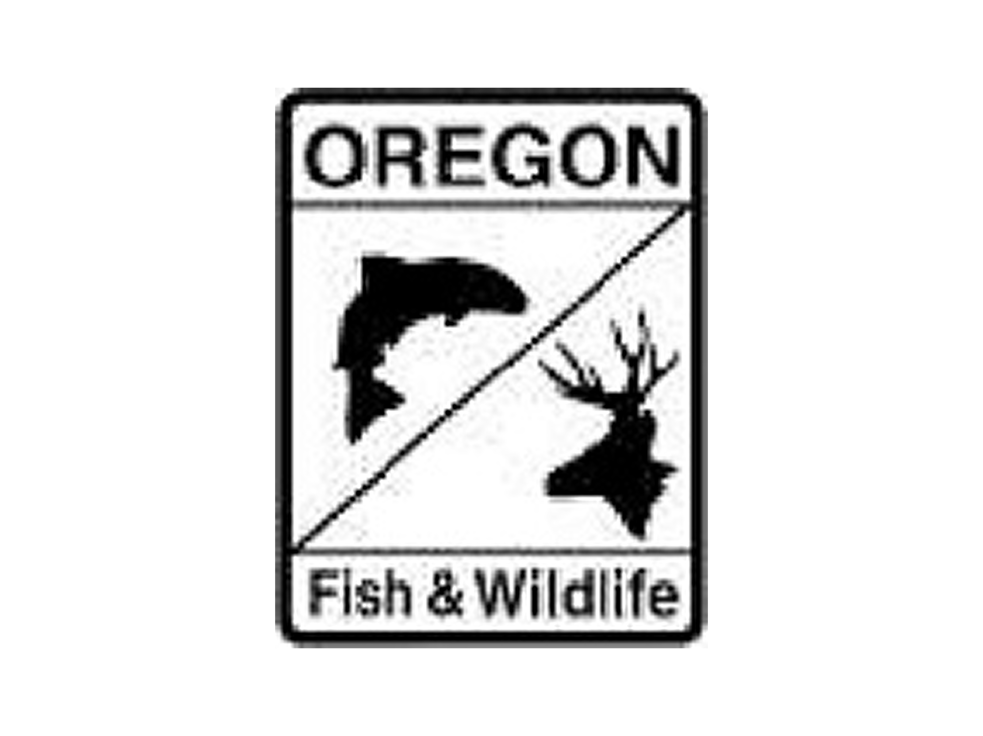 Fish & Wildlife